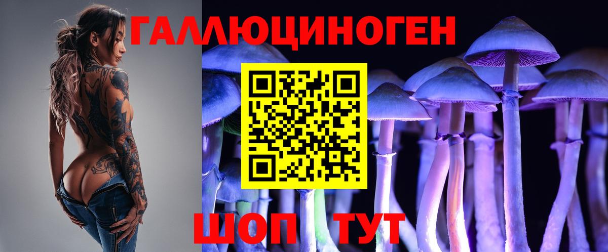 где купить   Вход с VPN  Заречный  Псилоцибиновые грибы MAGIC MUSHROOMS 